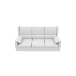 Input Image