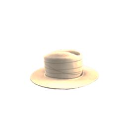 Input Image