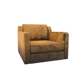 Input Image